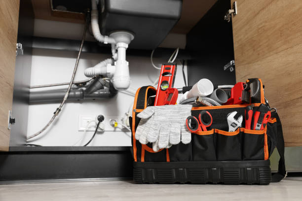 Best Same-Day Plumbing Service  in Royal Oak, MI