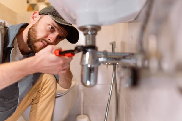 Best Local Plumber Services  in Royal Oak, MI