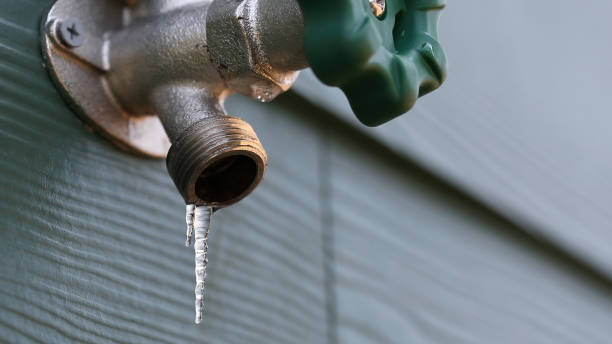 Best Affordable Plumbing Services  in Royal Oak, MI