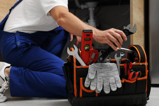 Best Plumbing Repair Near Me  in Royal Oak, MI