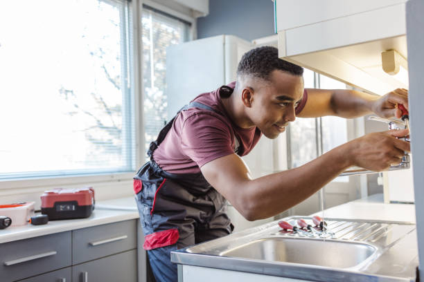Best Residential Plumbing Services  in Royal Oak, MI